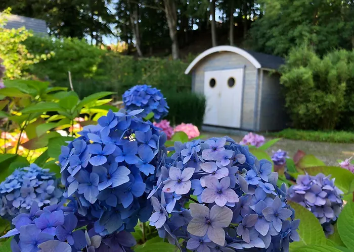 Appartement Strandquartier La - Mit Terrasse Nur Wenige Meter Zum Und